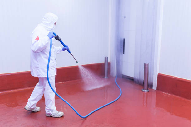 Best House Exterior Washing  in Manchester, VA